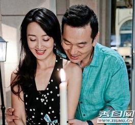 太太万岁演员表,实力派明星齐聚一堂，演绎家庭情感纠葛